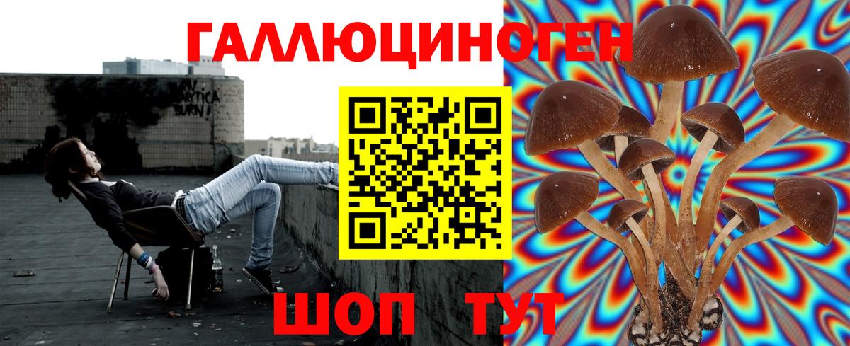 Псилоцибиновые грибы Cubensis Лабытнанги